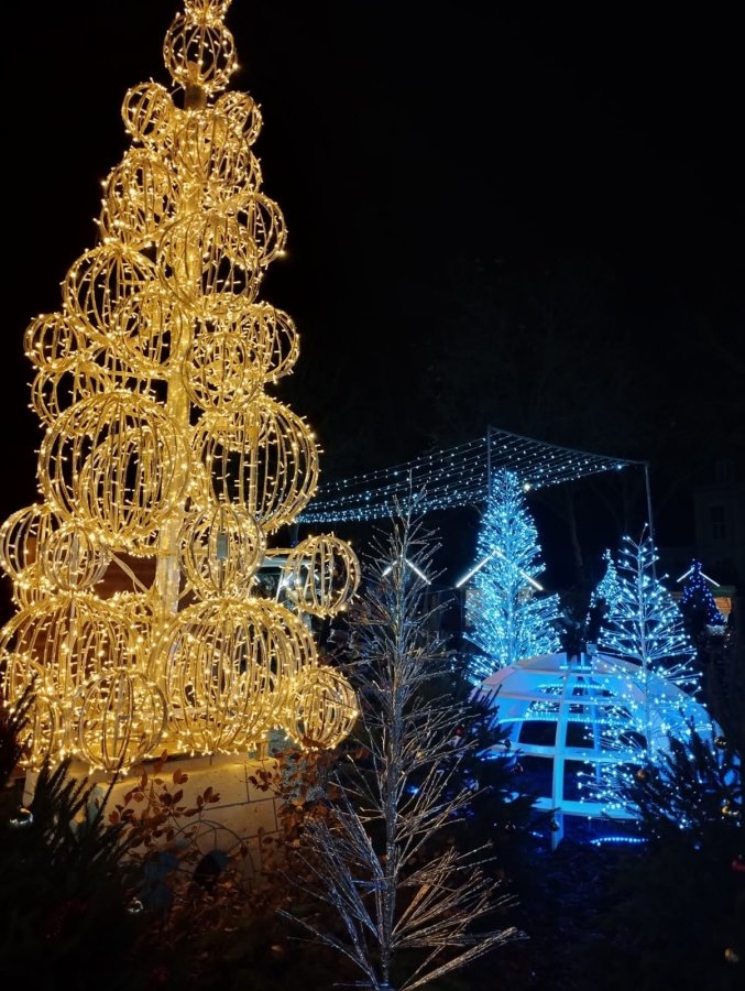 EVENT1_Lucioles_05-12-2025_005