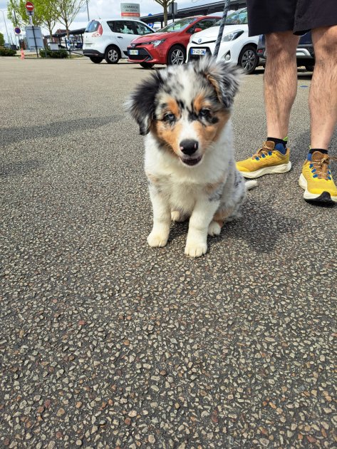 test-parcours-8km-marche10ans-03